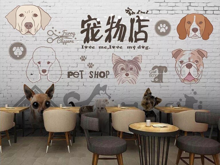 宠物店装修设计墙面效果